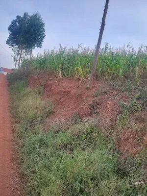 Kasasa Plots