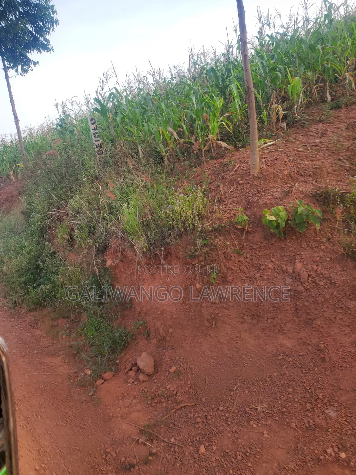 Kasasa Plots