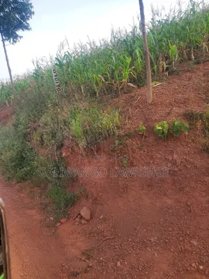 Kasasa Plots
