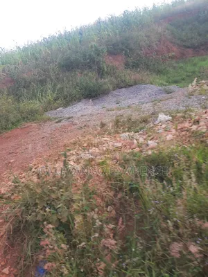 Kasasa Plots