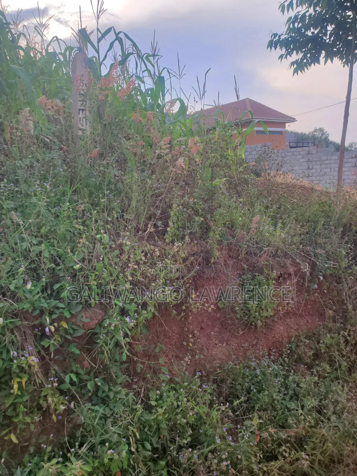 Kasasa Plots