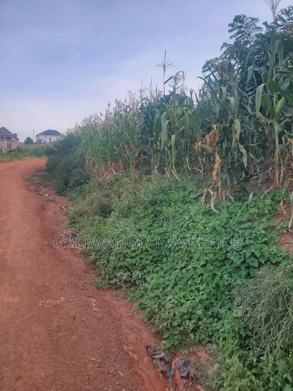 Kasasa Plots