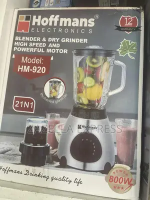 Hoffmans 2 in 1 Glass Blender