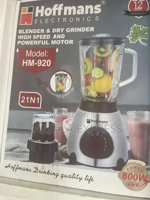 Hoffmans 2 in 1 Glass Blender