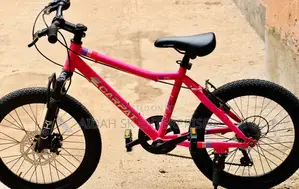 Ecarpat 24 Inch Kids Mountain Bike Boys Girls,