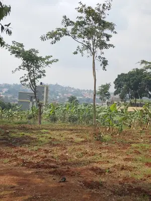 Plot For Sale – Zion Estate Matugga Saayi