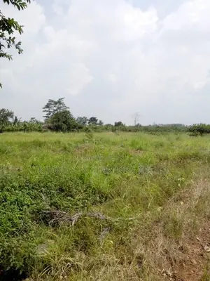 Gayaza Bugema Express Road Estate At 35m