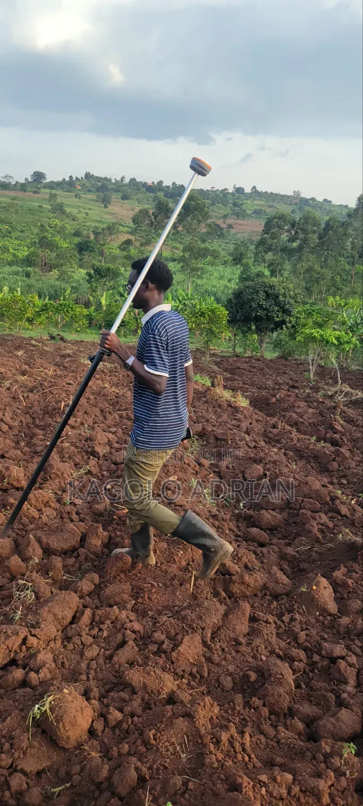Land Surveyor Services