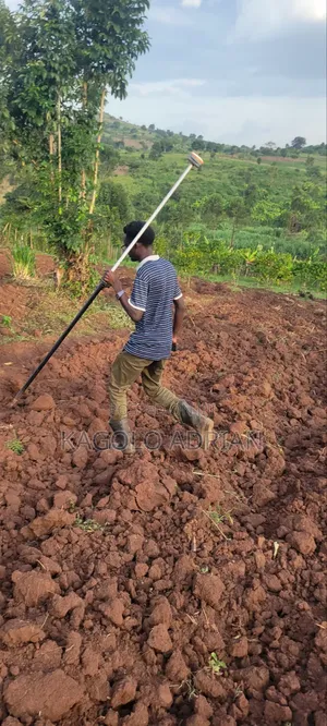 Land Surveyor Services
