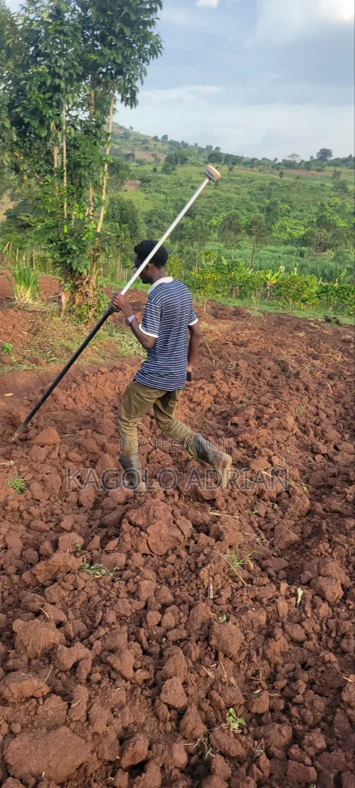 Land Surveyor Services
