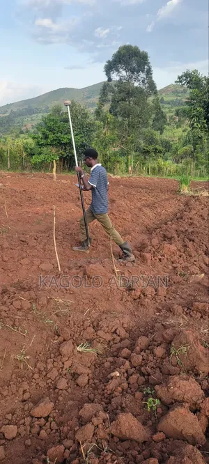 Land Surveyor Services