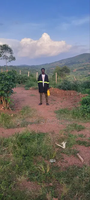 Land Surveyor Services