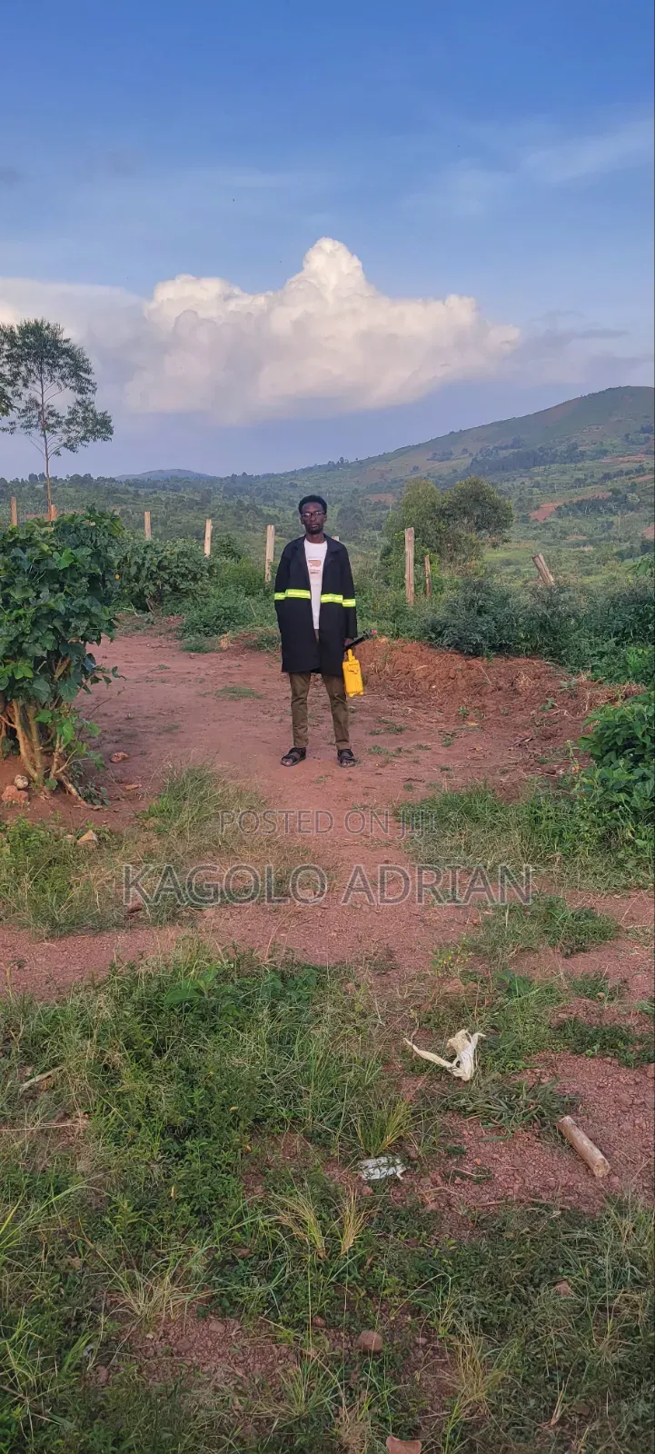 Land Surveyor Services