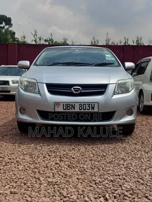 Toyota Corolla Fielder 2009 Silver