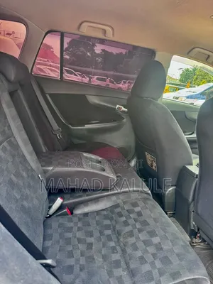Toyota Corolla Fielder 2009 Silver