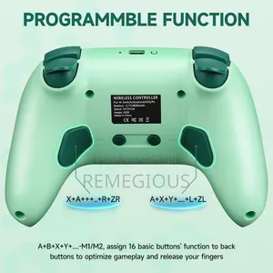 803 RGB Gaming Controller for Nintendoswitch/Oled/Lite/Pc