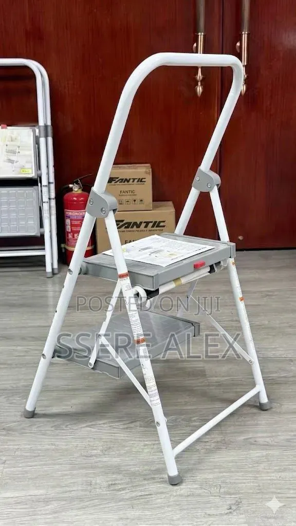 2 Step Folding Ladder