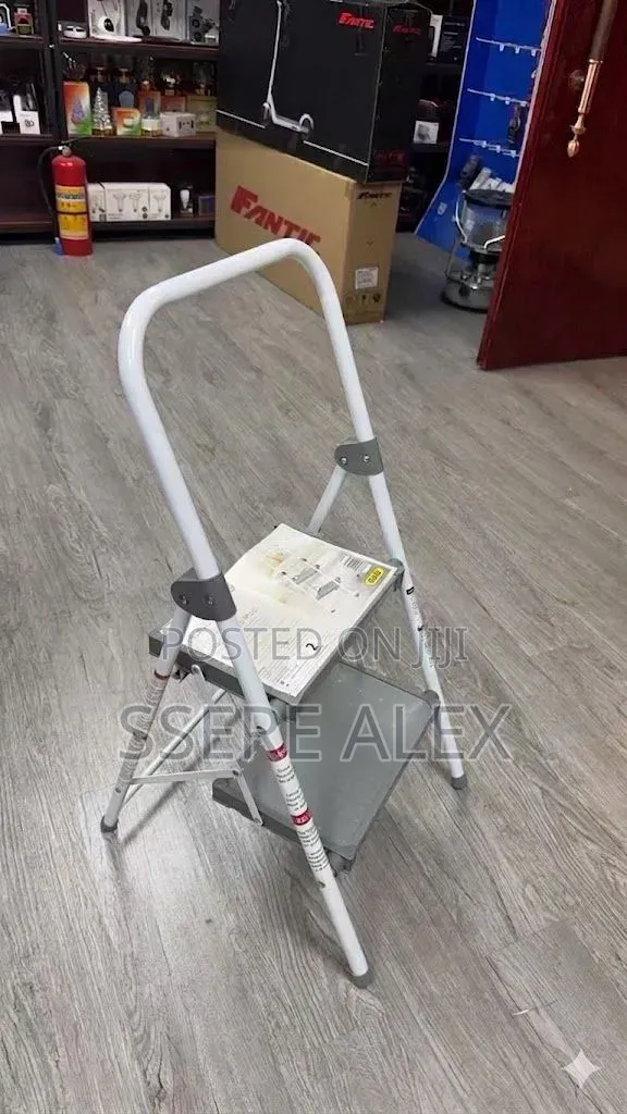 2 Step Folding Ladder