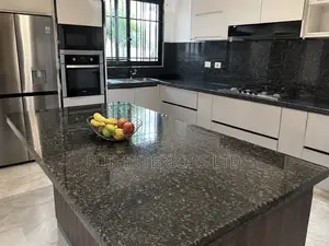 Premium Granite Countertop Surface Solutions