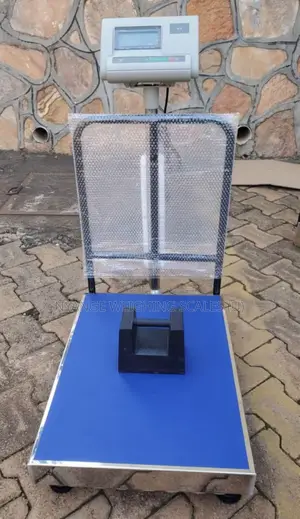 Japan Precision Weighing Scale 300kg Weigh Digital Weighing Scale