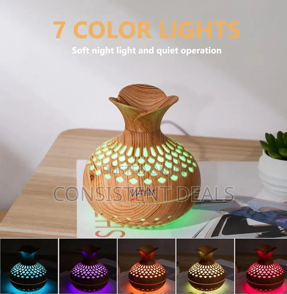 WTRTR 300ml Essential Oil Diffuser