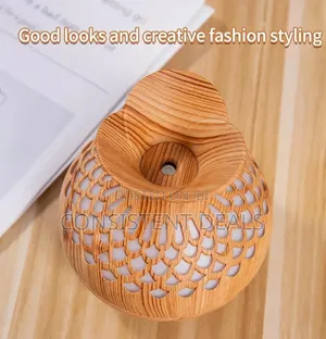 WTRTR 300ml Essential Oil Diffuser