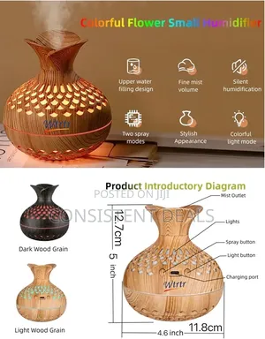 WTRTR 300ml Essential Oil Diffuser