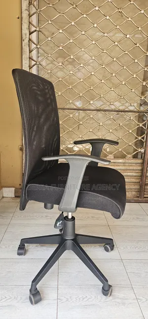Mid Bac Mesh Simple Adjustable Chair
