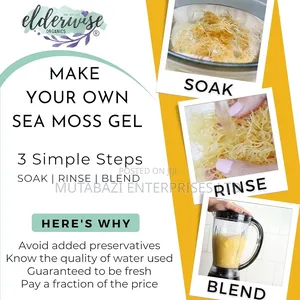 Premium Wildcrafted Raw Sea Moss – Nature's Mineral-rich Superfood