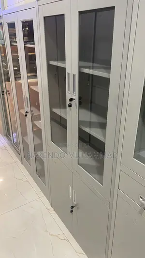 Glass Double Door Cabinet