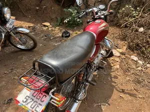 Bajaj Boxer 100 2024 Red