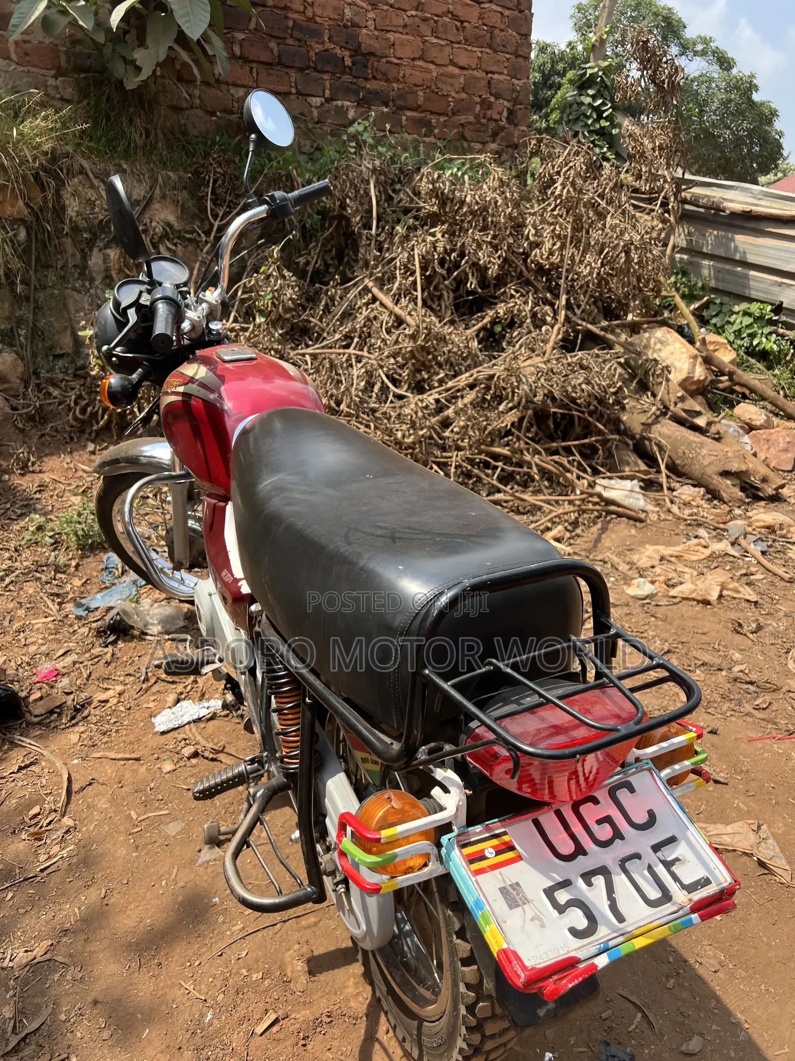 Bajaj Boxer 100 2024 Red