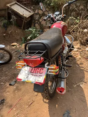 Bajaj Boxer 100 2024 Red