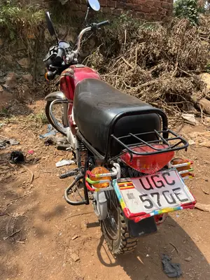Bajaj Boxer 100 2024 Red