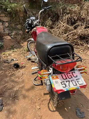 Bajaj Boxer 100 2024 Red