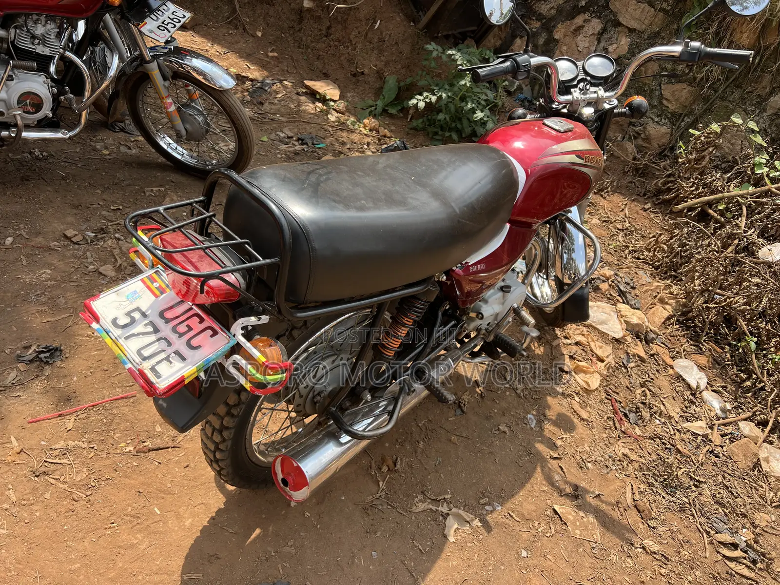 Bajaj Boxer 100 2024 Red