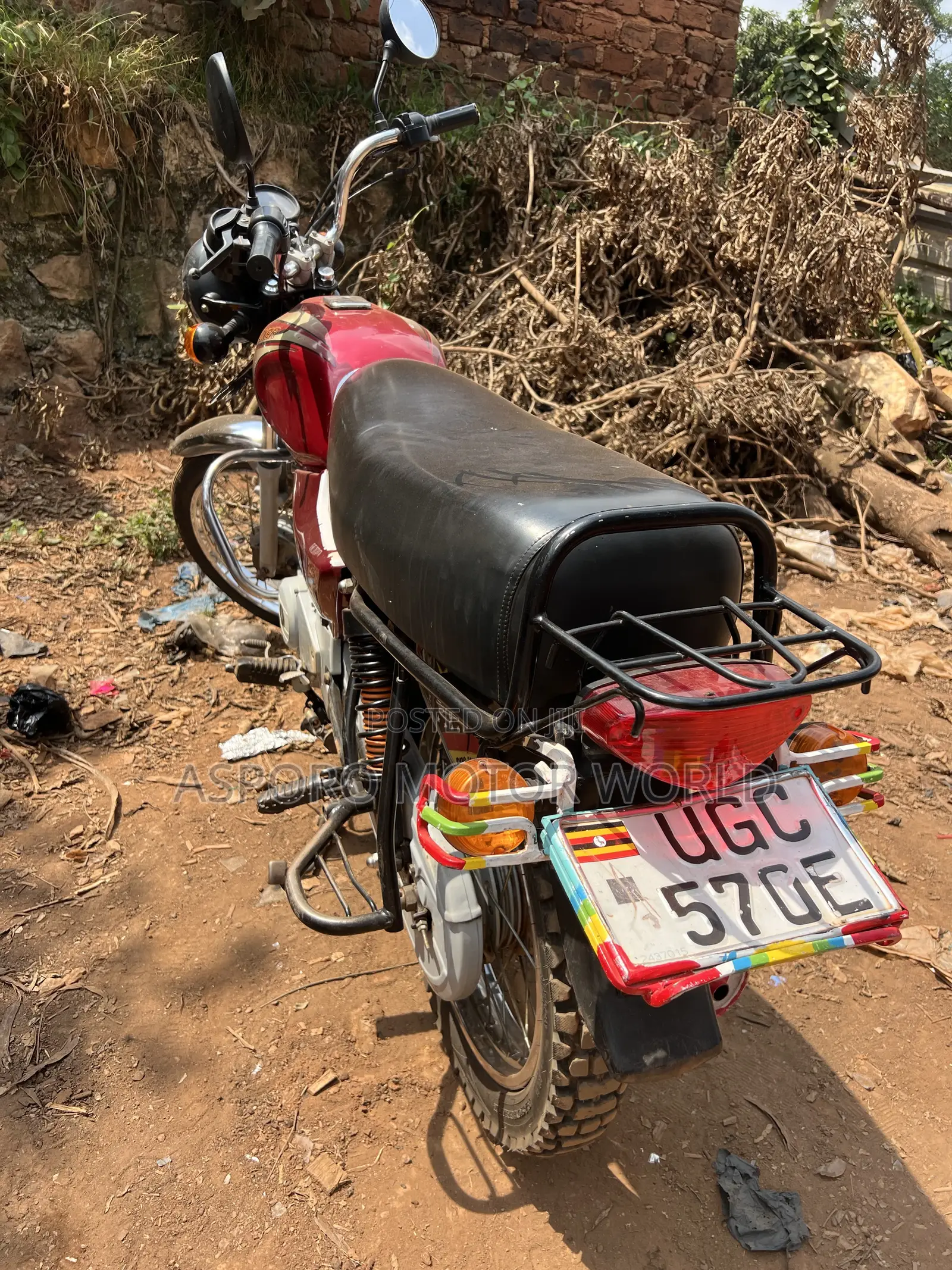 Bajaj Boxer 100 2024 Red