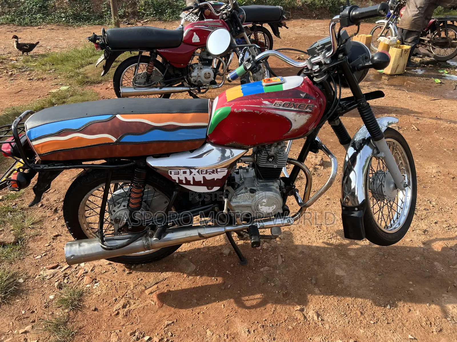 Bajaj Boxer 100 2019 Red