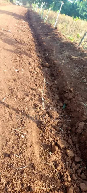 Land With Coffee Shamba In Bulesa, Bugiri District