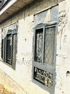 Aluminum Swiwing Window