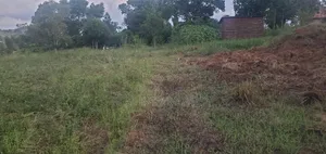 Quick Sale Plot of Land
