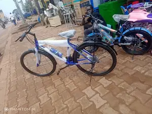 Walt Blue Bicycle