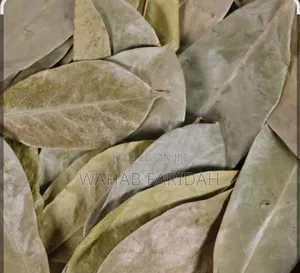 Soursop Leaves