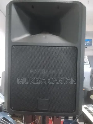 Ev Top Speaker Pro
