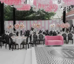Baby Pink, Black & White Introduction