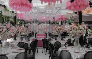 Baby Pink, Black & White Introduction
