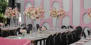 Baby Pink, Black & White Introduction