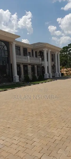 Professional Painter-Interior Exterior House Painting/Kampala All
