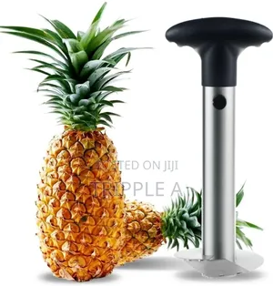 Easy Slice Pineapple Slicer