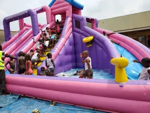 Bouncing Castle For Hire